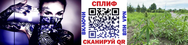 Все наркотики Улан-Удэ КОКАИН МЕФ Амфетамин Гашиш СК